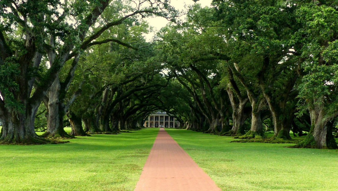 Louisiana landscape